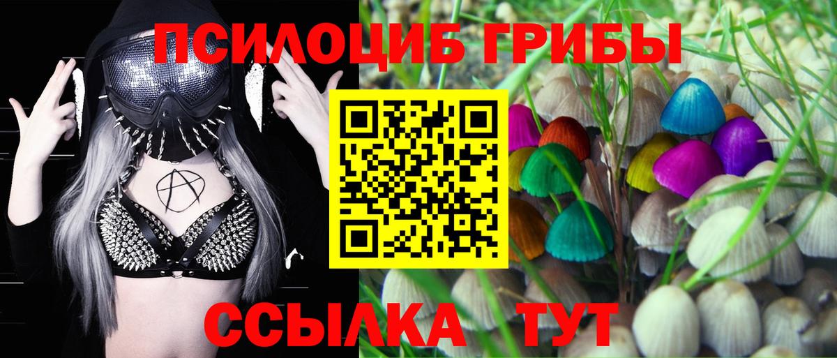 Омск  Галлюциногенные грибы Cubensis  Вход с VPN 