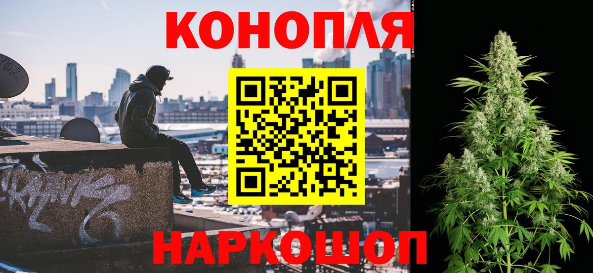 Бошки Шишки Amnesia Омск